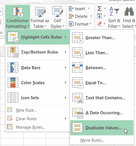 Duplicate Excel