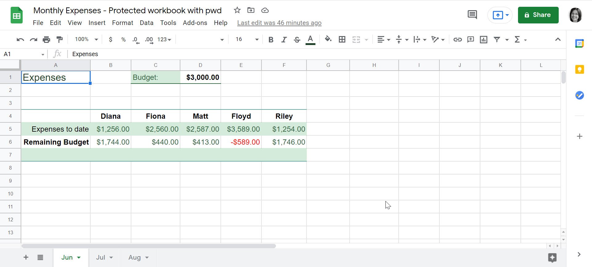 Monthly Expenses - Protected workbook with pwd opened in Google Sheets