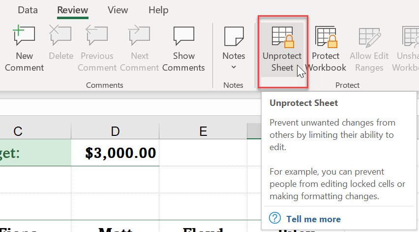 Word Ribbon in the Review tab with the option Unprotect Sheet shown in a red box