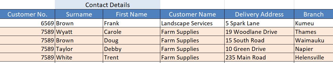 Excel spreadsheet with four rows highlighted. Highlighted rows have the same Customer Name and the same Customer No.