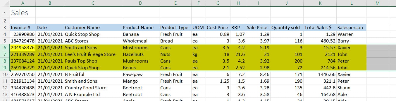 Excel Sales spreadsheet with rows 6-9 highlighted and selected