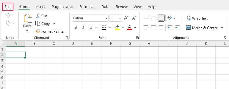 Excel spreadsheet with the File tab shown in a red box