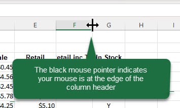 Mouse pointer that looks like a black cross over the column tab divider and a callout saying "The black mouse pointer indicates your mouse is at the edge of the column header)